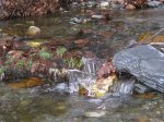 IMG_0019.JPG