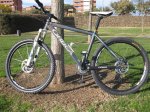 MTB 010 (Medium).jpg