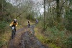 DSC_2709.jpg
