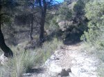 Imagen091.jpg