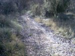 Imagen088.jpg