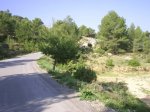 PIC_0019.jpg