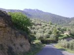 PIC_0014.jpg