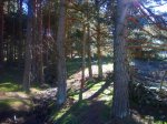 Foto9.JPG