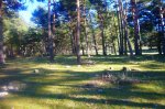 Foto26.JPG