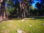 Foto27.JPG