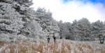 DSCN1140-2.JPG