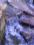 DSC00685.JPG
