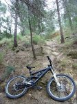 DSC04976r.jpg