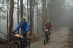 viimarchadasrosquillas2010905.jpg