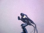 03022010252.jpg