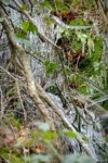 normal_DSC_2701.jpg