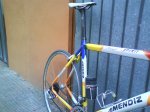 DSC00310.jpg