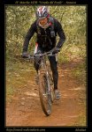 sonseca_20090425_1144522249.jpg