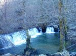 DSC01656.jpg