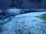 DSC01655.jpg