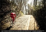 rvv09-muur.jpg