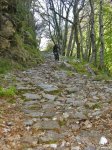 DSCN4453.jpg