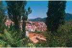 paterna-del-madera.jpg