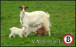 DSC05367.jpg
