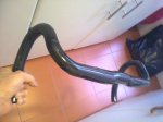 05022010288.jpg