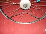 DSC04228_800x600.jpg