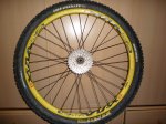 Deemax01 12 x 150 mm.jpg