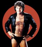 hasselhoff.jpg