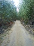 DSC00304.jpg