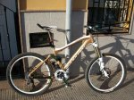 mi bici 003.jpg