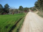 IMG_1845.jpg