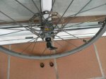 roda6w.JPG