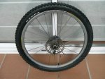 roda8w.JPG