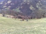 060220102119.jpg