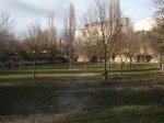 P2060006.JPG