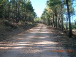 Ascenso a La Pedrizona.JPG