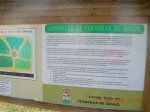 Arboreto de Ferreras.JPG
