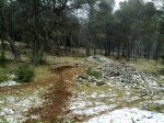 30012010519.jpg