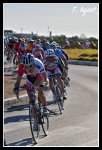 08_681x1000.jpg