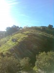 Imagen0116.jpg