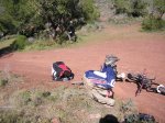 salida 06-02-10 093.jpg