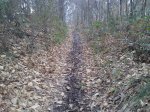 Foto0128.jpg