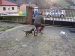 IMG_0283.jpg