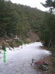 PICT0001.jpg