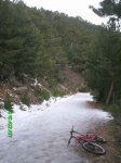 PICT0010.jpg