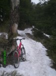 PICT0005.jpg