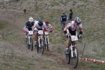 _MG_8481_resize.jpg
