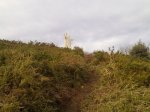 07022010221.jpg