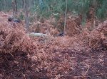 DSCF7588.JPG