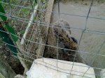 07022010048.jpg